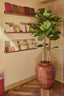 Plantenpot Terracotta